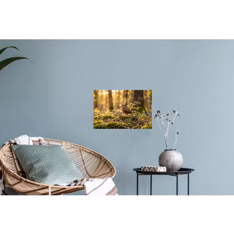 Houtsnip - Bos - Bladeren - Herfst - Gecamoufleerd Muursticker klein -plant