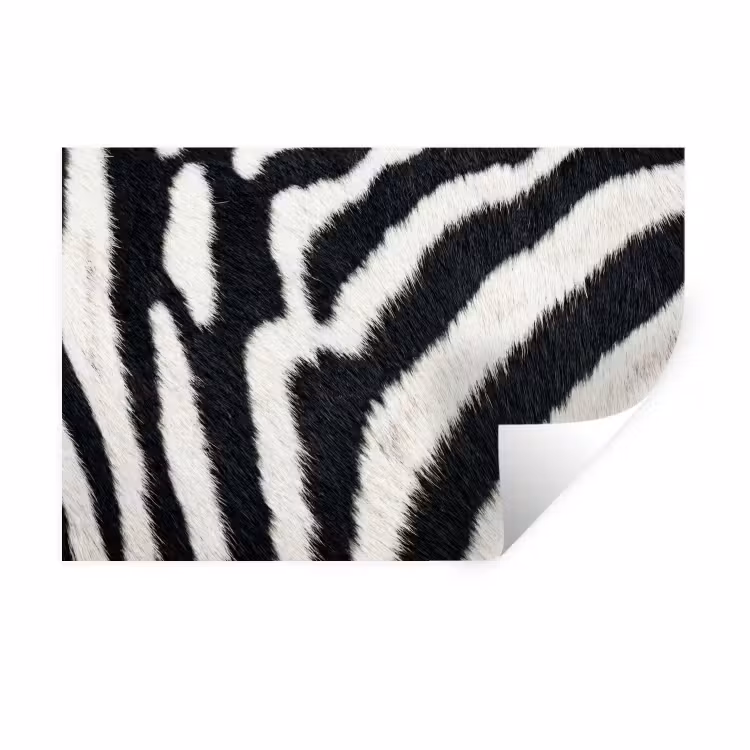 Zebra - Vacht - Klassiek - Zwart - Wit Muursticker klein -3d