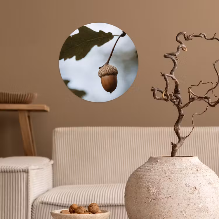 Eikel - Eikenblad - Bos - Herfst - Natuur Wandcirkel behangsticker klein -sfeer1