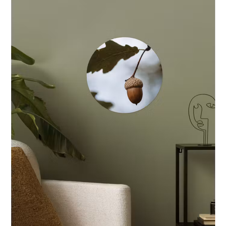 Eikel - Eikenblad - Bos - Herfst - Natuur Wandcirkel behangsticker klein -sfeer2