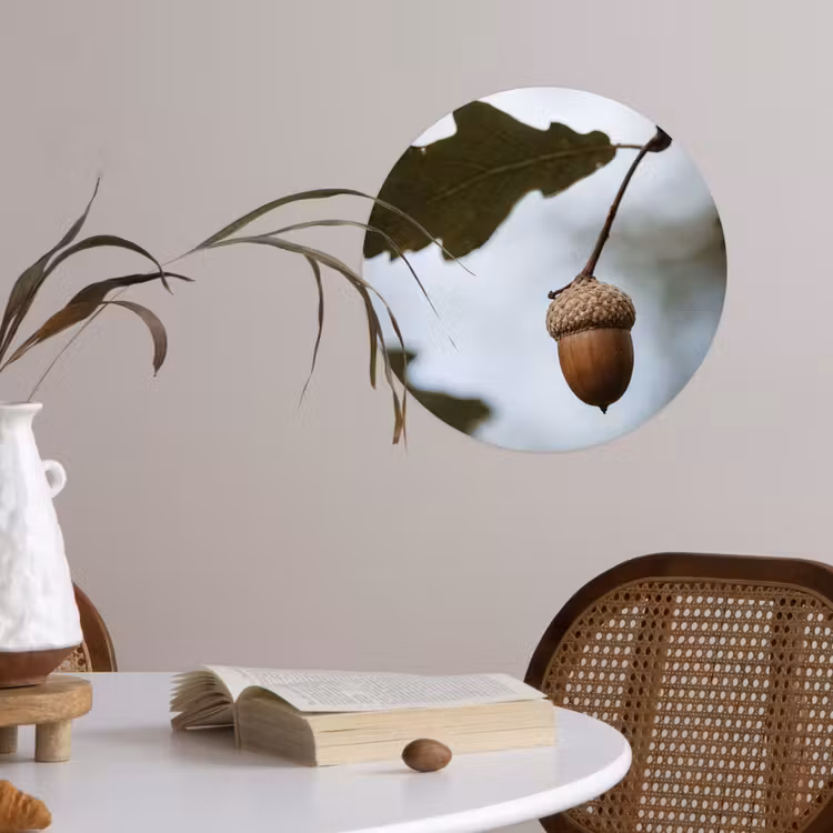 Eikel - Eikenblad - Bos - Herfst - Natuur Wandcirkel behangsticker klein -sfeer3