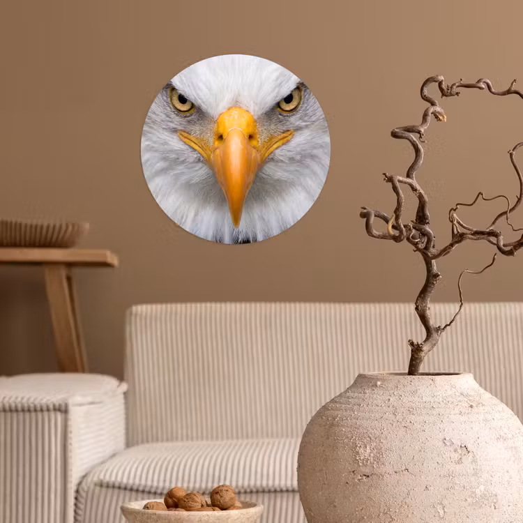 Amerikaans - Zeearend - Portret - Geel Wandcirkel behangsticker klein -sfeer1