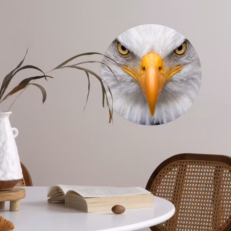 Amerikaans - Zeearend - Portret - Geel Wandcirkel behangsticker klein -sfeer3