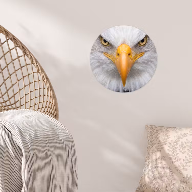 Amerikaans - Zeearend - Portret - Geel Wandcirkel behangsticker klein -sfeer4