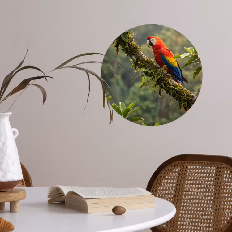 Ara - Jungle - Rood Wandcirkel behangsticker klein -sfeer3