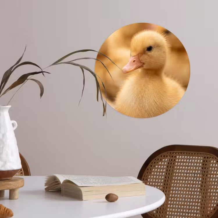 Pijltje - Eend - Natuur - Geel Wandcirkel behangsticker klein -sfeer3