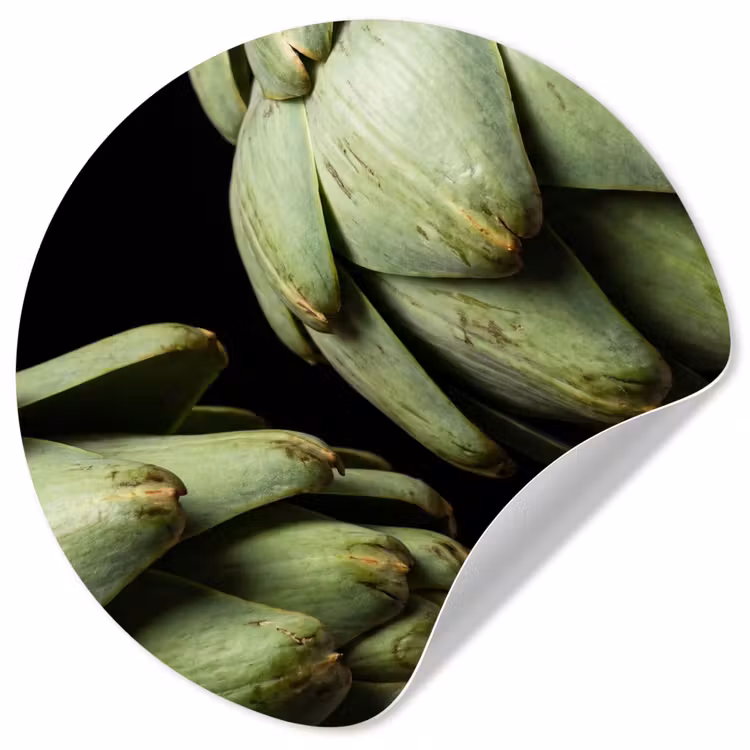 Wallpaper Circle - Artichoke - Green - Food - Artisjok - Groen - Eten Wandcirkel behangsticker klein