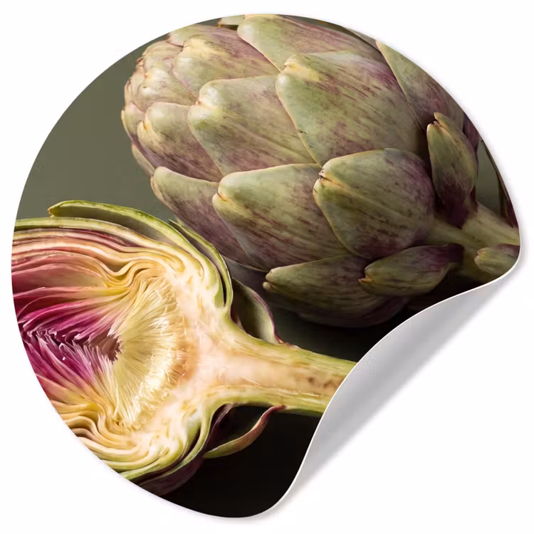Wallpaper Circle - Artichoke - Purple - Food - Artisjok - Paars - Voedsel Wandcirkel behangsticker klein