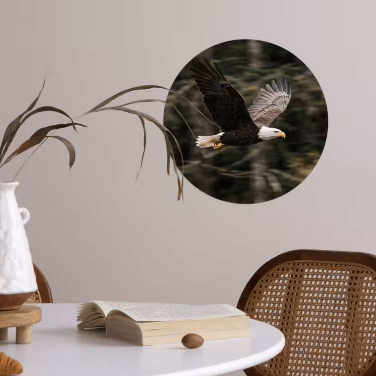 Zeearend - Vliegen - Bos - Natuur Wandcirkel behangsticker klein -sfeer3