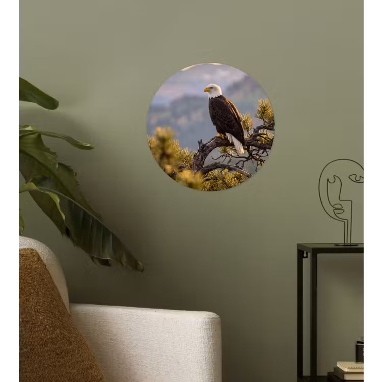 Zeearend - Boom - Bergen - Groen Wandcirkel behangsticker klein -sfeer2