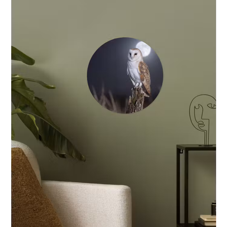 Kerkuil - Maan - Nacht Wandcirkel behangsticker klein -sfeer2