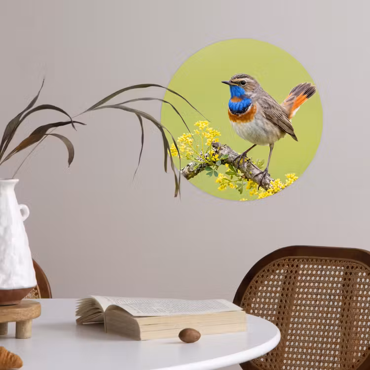 Vogel - Tak - Natuur - Kleurrijk Wandcirkel behangsticker klein -sfeer3