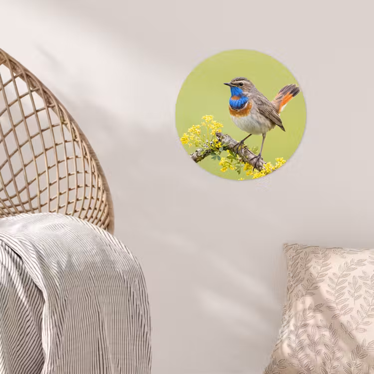 Vogel - Tak - Natuur - Kleurrijk Wandcirkel behangsticker klein -sfeer4
