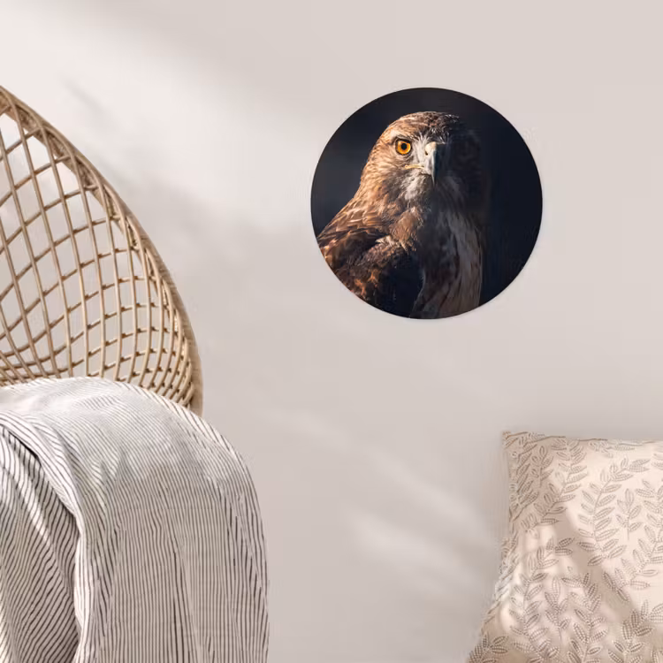 Roofvogel - Buizerd - Bruin Wandcirkel behangsticker klein -sfeer4