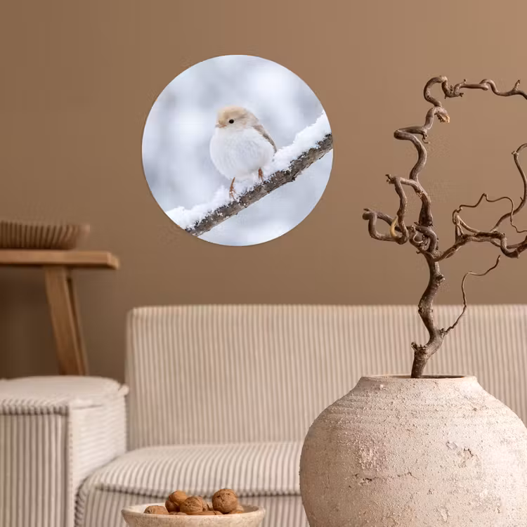 Vogeltje - Sneeuw - Tak - Winter - Zacht Wandcirkel behangsticker klein -sfeer1