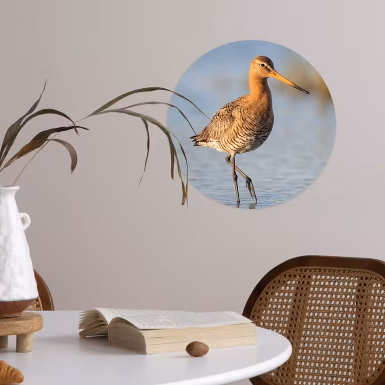 Vogel - Steltloper - Water - Natuur Wandcirkel behangsticker klein -sfeer3