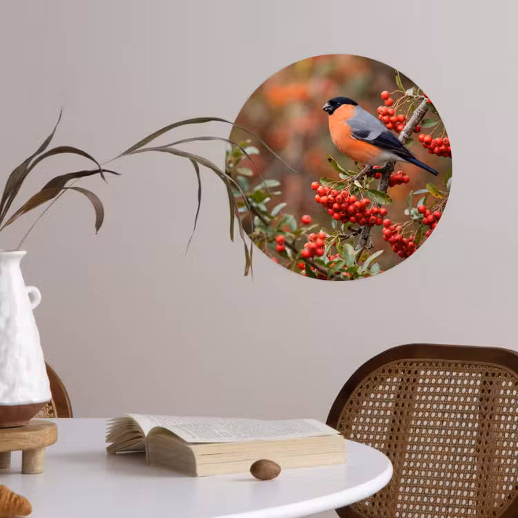 Goudvink - Bessen - Herfst - Natuur - Kleurrijk Wandcirkel behangsticker klein -sfeer3
