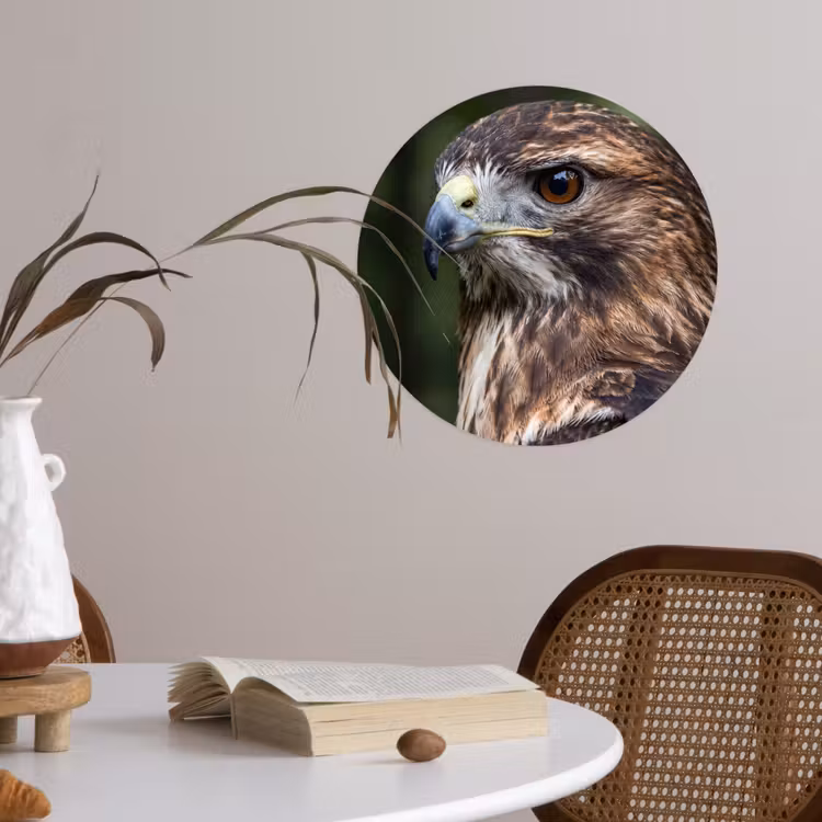 Buizerd - Roofvogel - Natuur - Bruin Wandcirkel behangsticker klein -sfeer3