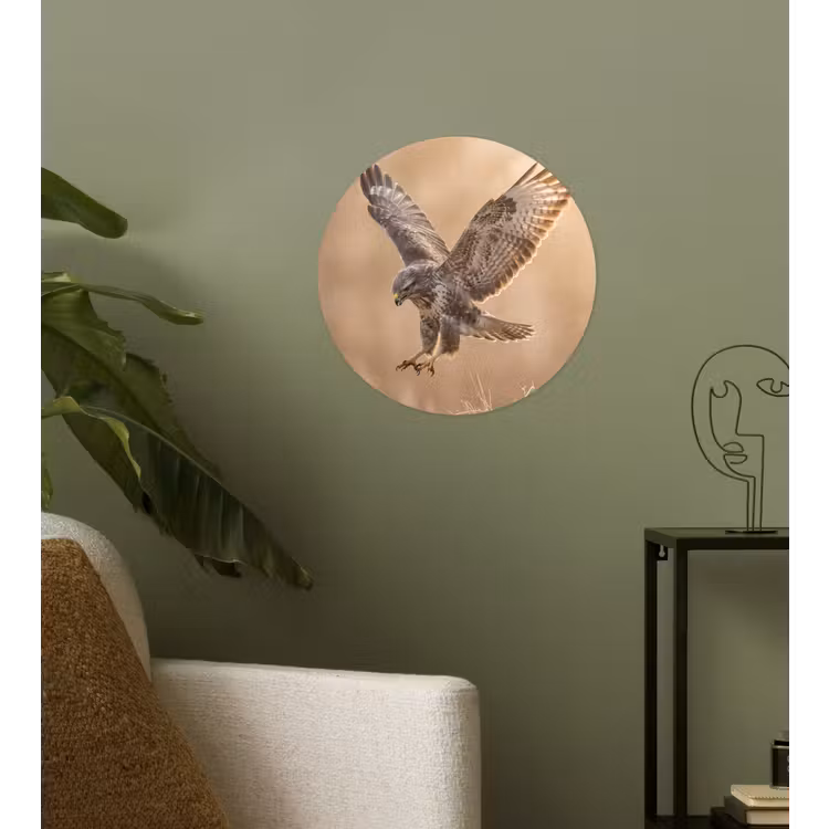 Buizerd - Roofvogel - Natuur - Bruin Wandcirkel behangsticker klein -sfeer2