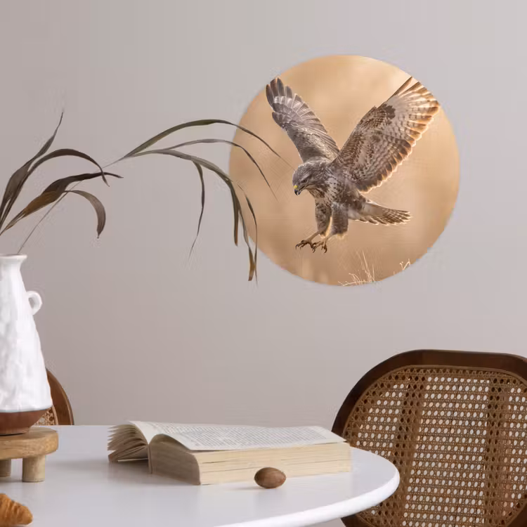 Buizerd - Roofvogel - Natuur - Bruin Wandcirkel behangsticker klein -sfeer3