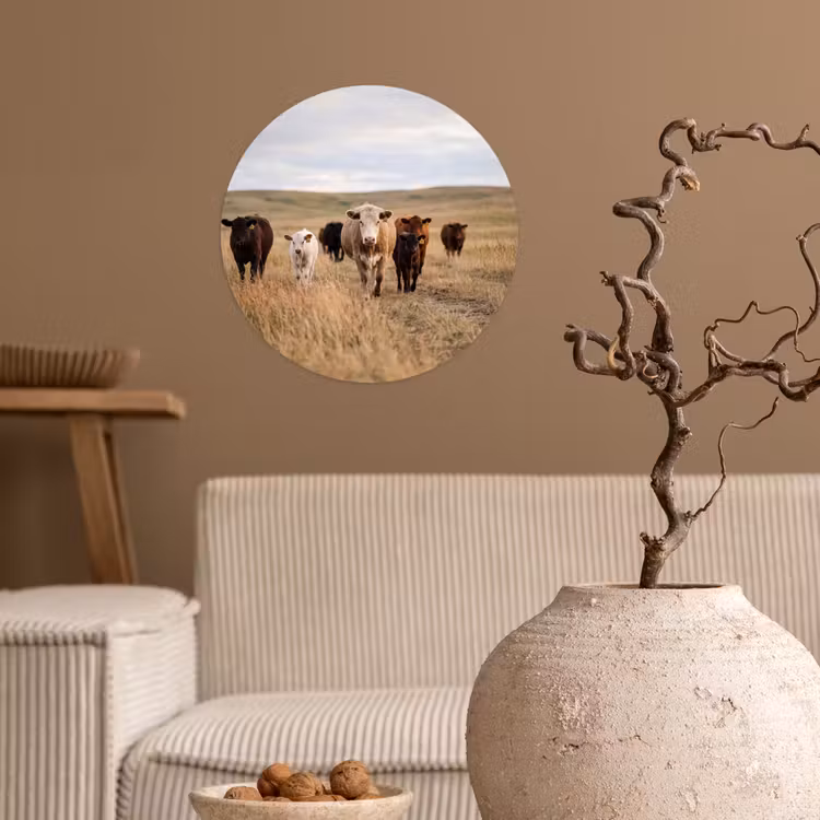 Runderen - Kudde - Landschap - Weide - Rustig Wandcirkel behangsticker klein -sfeer1