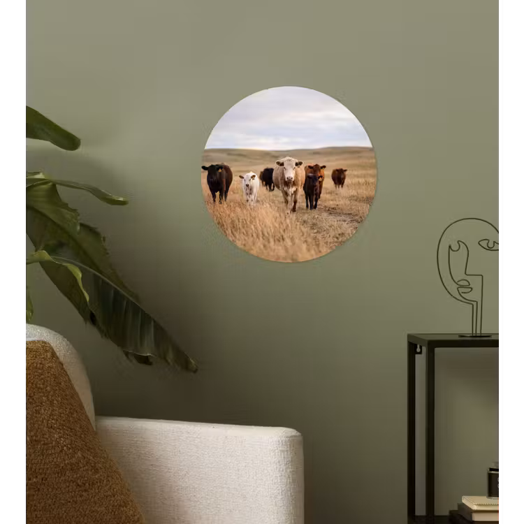 Runderen - Kudde - Landschap - Weide - Rustig Wandcirkel behangsticker klein -sfeer2