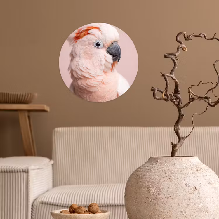 Kaketoe - Portret - Roze Wandcirkel behangsticker klein -sfeer1