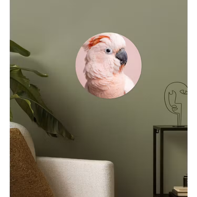 Kaketoe - Portret - Roze Wandcirkel behangsticker klein -sfeer2
