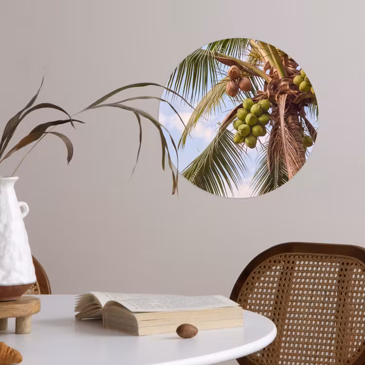 Kokosnoot - Boom - Tropisch - Natuur - Groen Wandcirkel behangsticker klein -sfeer3
