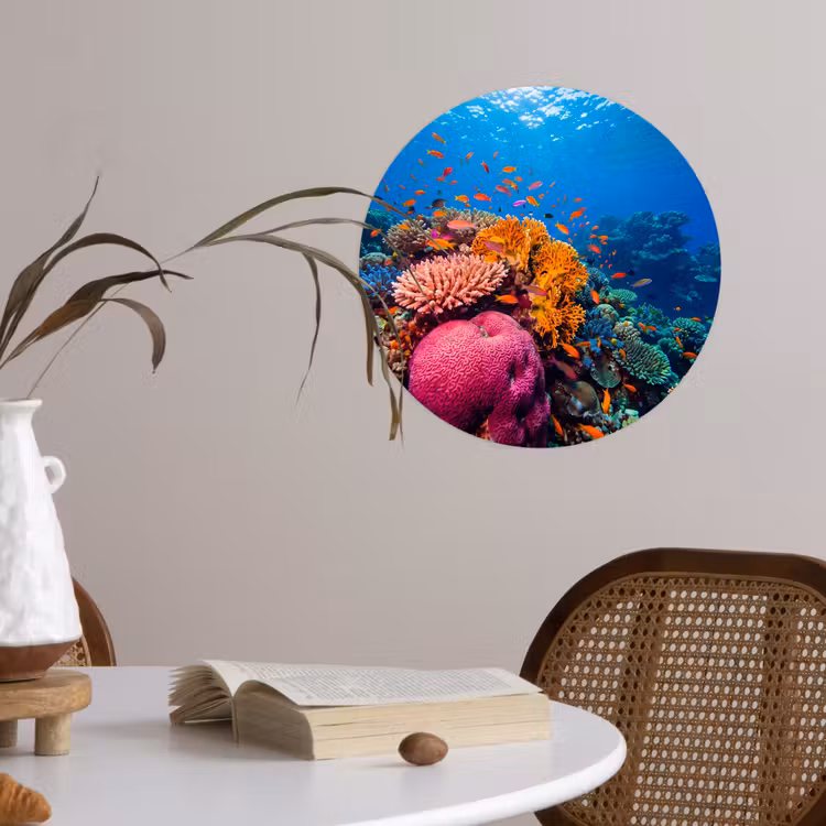 Koraal - Vissen - Oceaan - Natuur - Kleurrijk Wandcirkel behangsticker klein -sfeer3