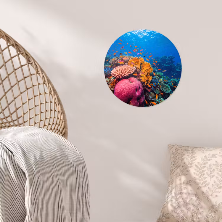 Koraal - Vissen - Oceaan - Natuur - Kleurrijk Wandcirkel behangsticker klein -sfeer4