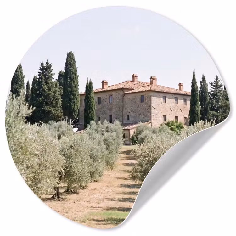 Wallpaper Circle - Country house - olive tree - orchard - Landhuis - olijfboom - gaard Wandcirkel behangsticker klein