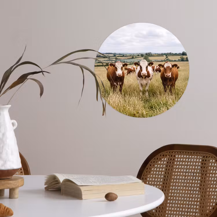 Koeien - Portret - Weide - Boerderij - Nieuwsgierig Wandcirkel behangsticker klein -sfeer3