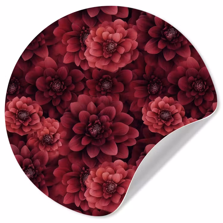 Dahlias - Bloemen - Rood Wandcirkel behangsticker klein 186 -3d