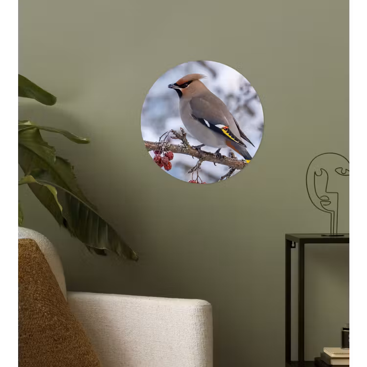 Pestvogel - Bessen - Winter - Natuur Wandcirkel behangsticker klein -sfeer2