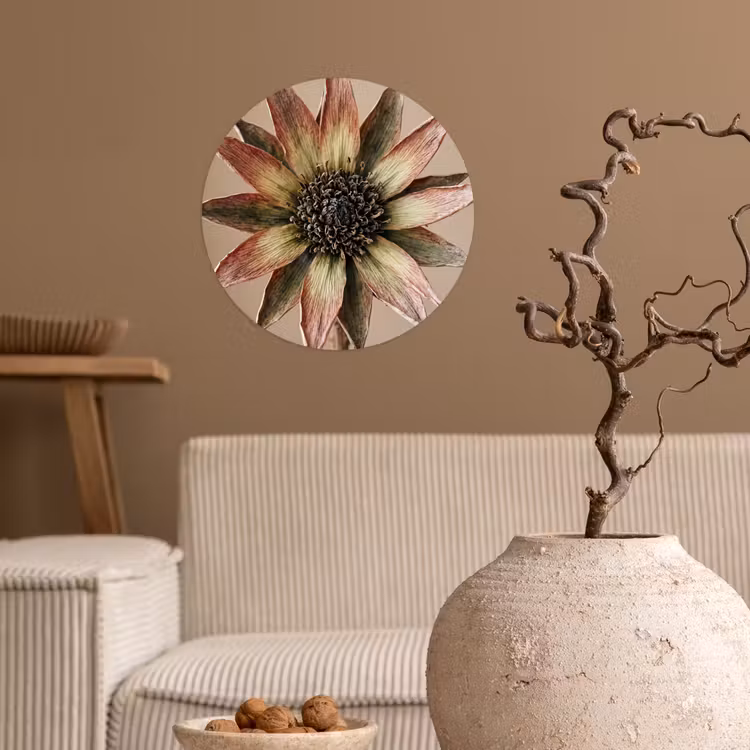 Droogbloem - Protea - Vintage - Beige - Rustiek Wandcirkel behangsticker klein -sfeer1