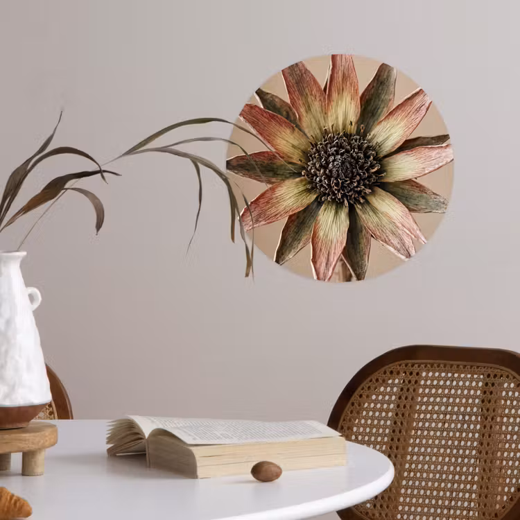 Droogbloem - Protea - Vintage - Beige - Rustiek Wandcirkel behangsticker klein -sfeer3
