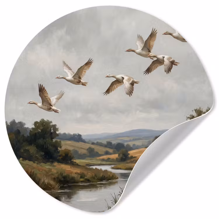 Eenden - Rivier - Landschap - Vlucht - Nostalgisch Wandcirkel behangsticker klein -3d