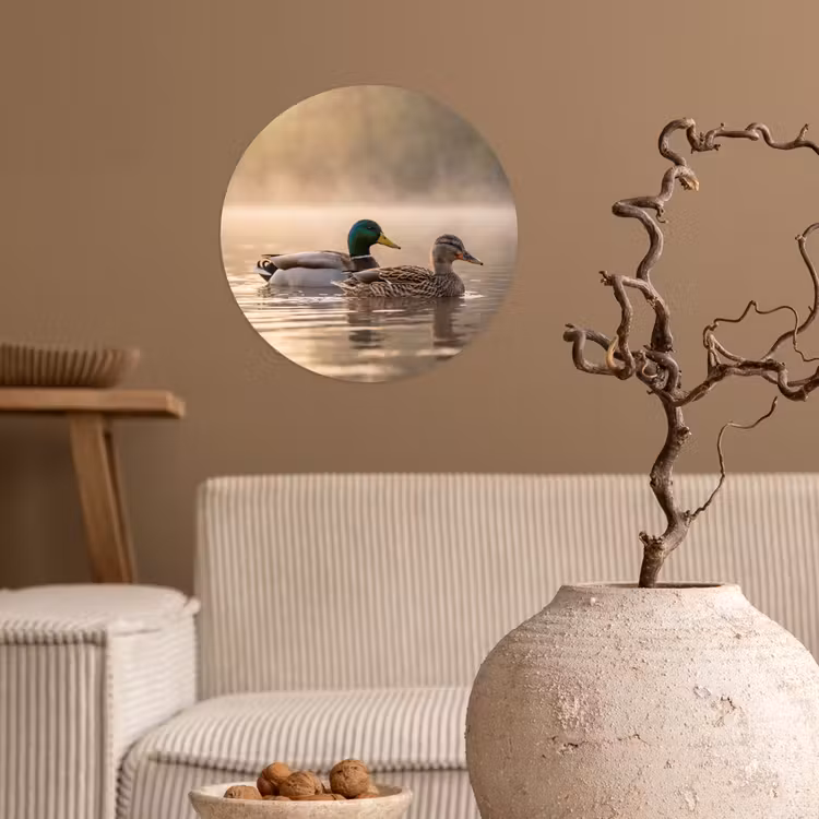 Eenden - Water - Mist - Natuur Wandcirkel behangsticker klein -sfeer1