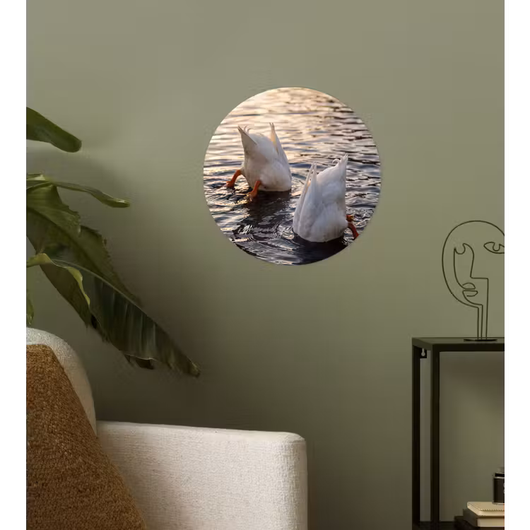 Eenden - Water - Natuur Wandcirkel behangsticker klein -sfeer2