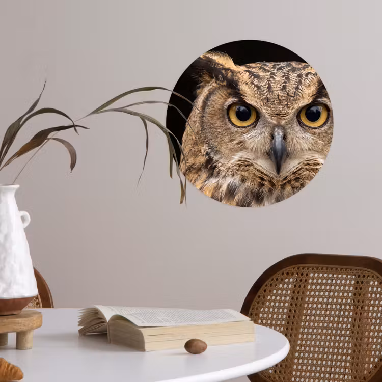 Oehoe - Uil - Portret - Bruin Wandcirkel behangsticker klein -sfeer3