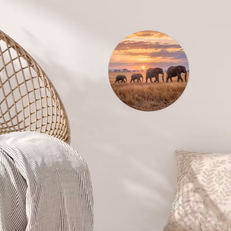 Olifanten - Savanne - Zonsondergang - Afrika - Warm Wandcirkel behangsticker klein -sfeer4