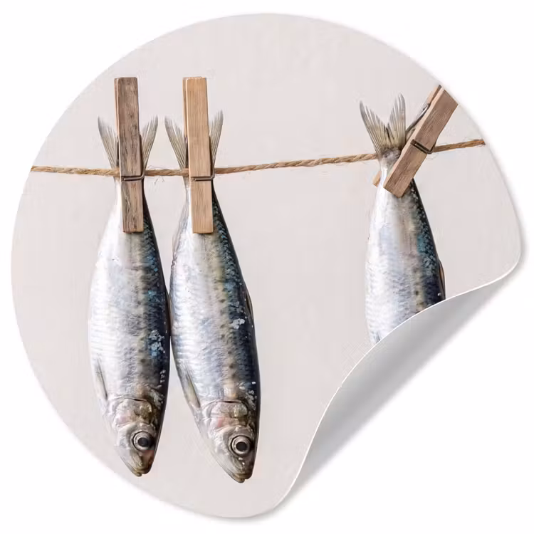 Wallpaper Circle - Fish - Hanging - Food - Vis - Hangend - Eten Wandcirkel behangsticker klein