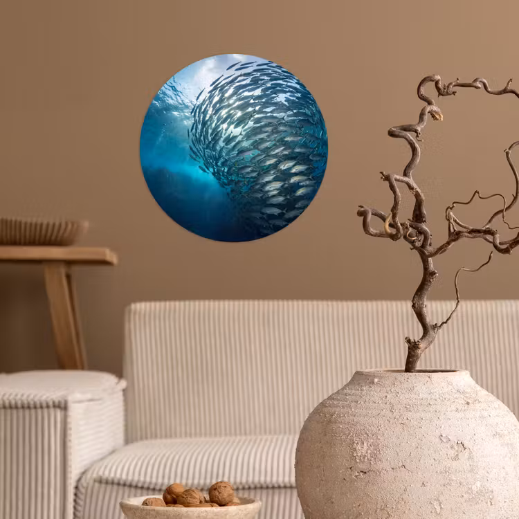 Vis - School - Oceaan - Natuur - Blauw Wandcirkel behangsticker klein -sfeer1