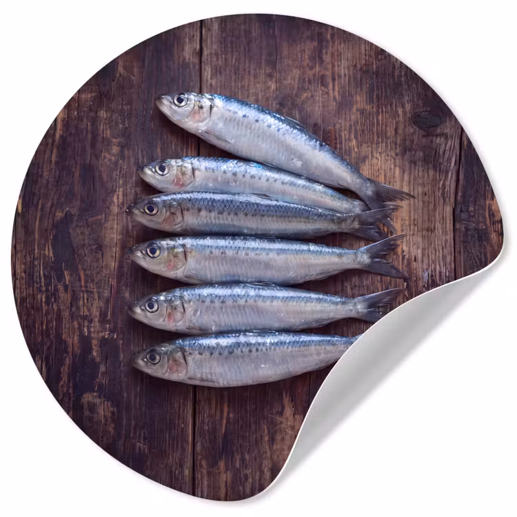 Wallpaper Circle - Fish - Wood - Food - Vis - Hout - Eten Wandcirkel behangsticker klein