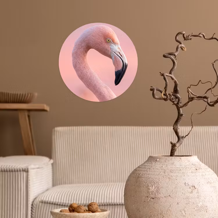 Flamingo - Portret - Roze Wandcirkel behangsticker klein -sfeer1