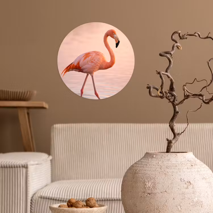 Flamingo - Water - Roze Wandcirkel behangsticker klein -sfeer1