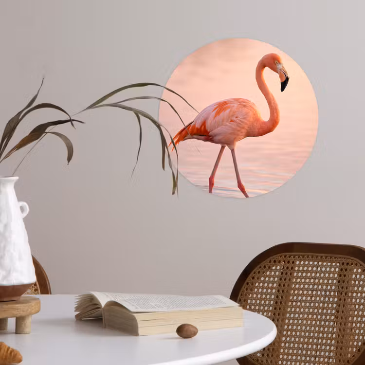 Flamingo - Water - Roze Wandcirkel behangsticker klein -sfeer3