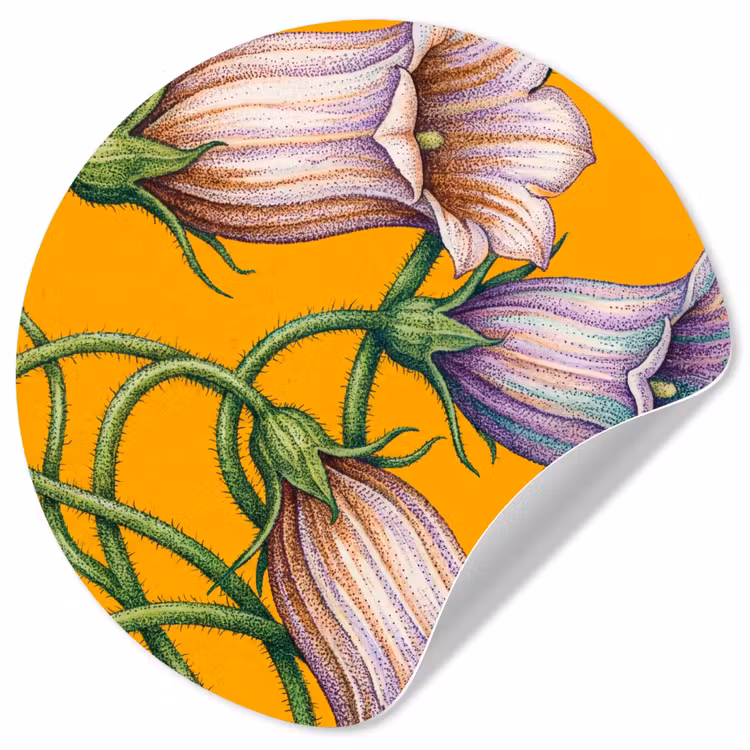 Wallpaper Circle - Flowers - Botanical - Yellow - Bloemen - Botanisch - Geel Wandcirkel behangsticker klein