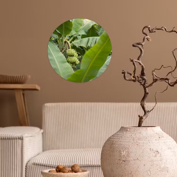 Eten - Bananen - Plantage - Groen Wandcirkel behangsticker klein -sfeer1